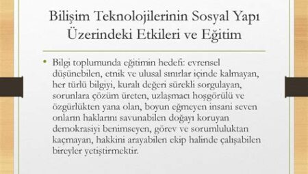 Bilgi Teknolojilerinin Sosyal Etkileri