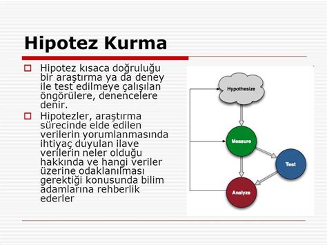 Bilgi Üzerine: Hipotez ve Araştırma Perspektifi