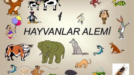 Hayvanlar Alemi Üzerine: Kuşlar ve Tür Koruma Perspektifi