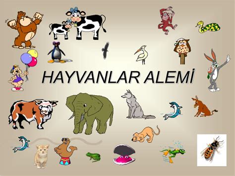 Hayvanlar Alemi Üzerine: Kuşlar ve Tür Koruma Perspektifi