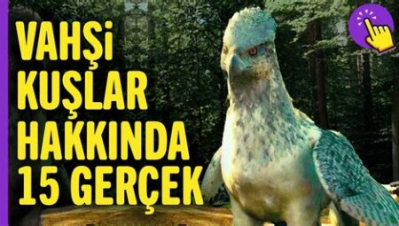 Hayvanlar Alemi Üzerine: Yırtıcı ve Göç Perspektifi