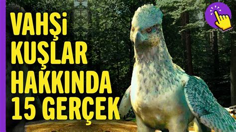 Hayvanlar Alemi Üzerine: Yırtıcı ve Göç Perspektifi