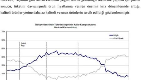 Şirketlerin Kriz Döneminde Uyguladığı Stratejiler