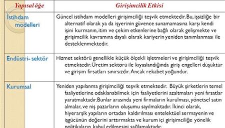 Uzmanlık Bilgisine Dayalı Girişim Modelleri